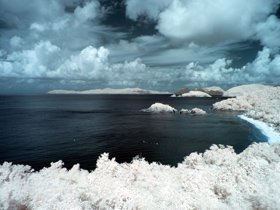 ZS8 720nm infrared
